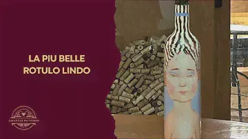 Vinho Chileno La Piu Belle, excelente e com Rótulo lindo