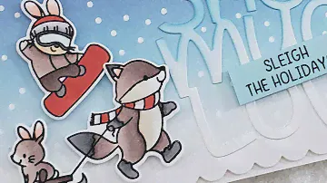 INTRODUCING: Snow Much Fun + Flurry Frame