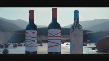 VIK Winery: Best Winery experience by Wine Enthusiast
